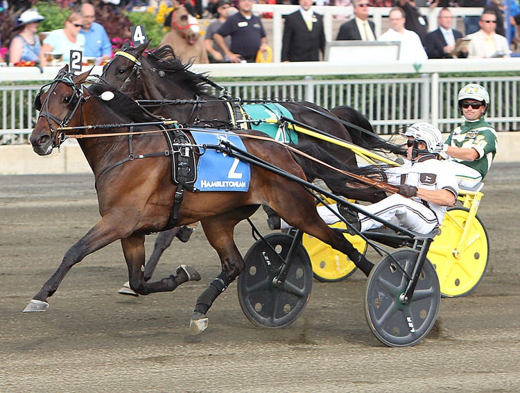 Harness Bad driver decisions linger forever